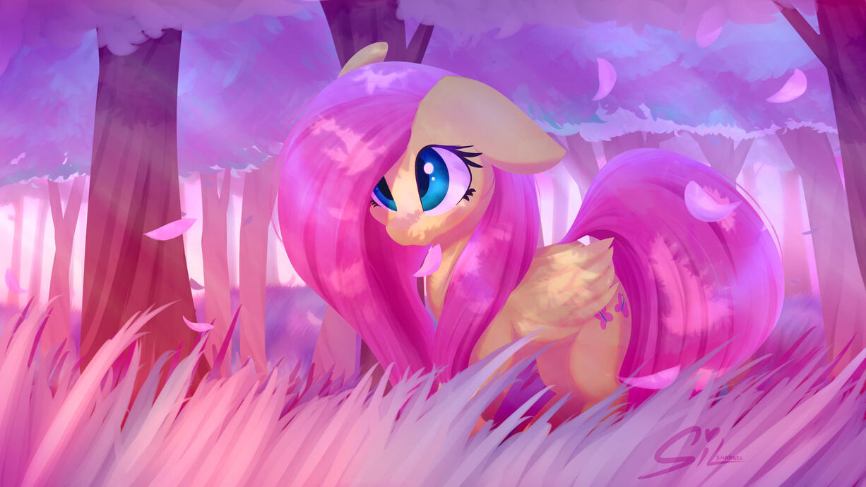 Forest Shy